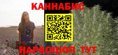 сатива Краснодар