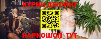 сатива Краснодар