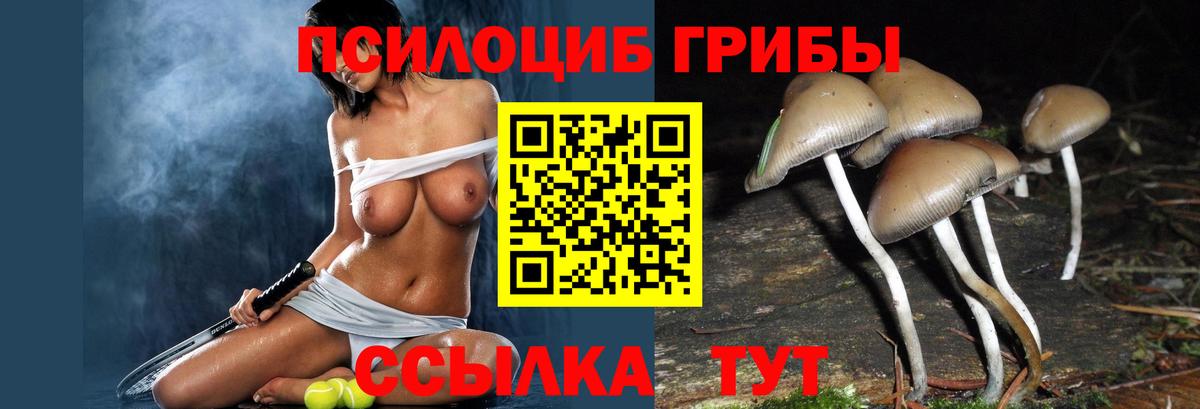 Псилоцибиновые грибы мицелий  Вход с VPN  Урус-Мартан  Псилоцибиновые грибы ЛСД 
